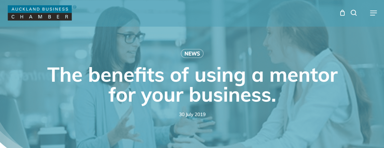 Auckland Business Chamber Mentor
